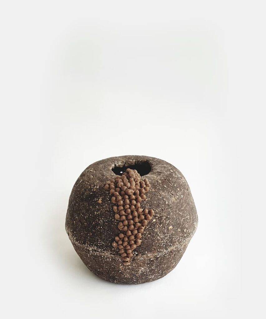 Olivo 2 | T | 005