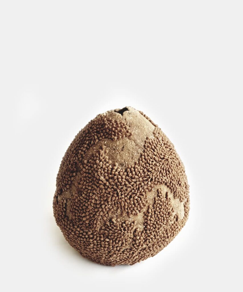 biomateria olivo artesania contemporanea